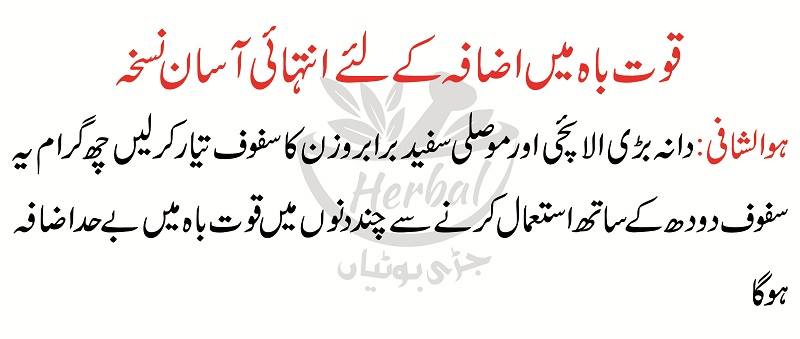 impotency Causes Symptoms and Treatment in Urdu Mardana Kamzori