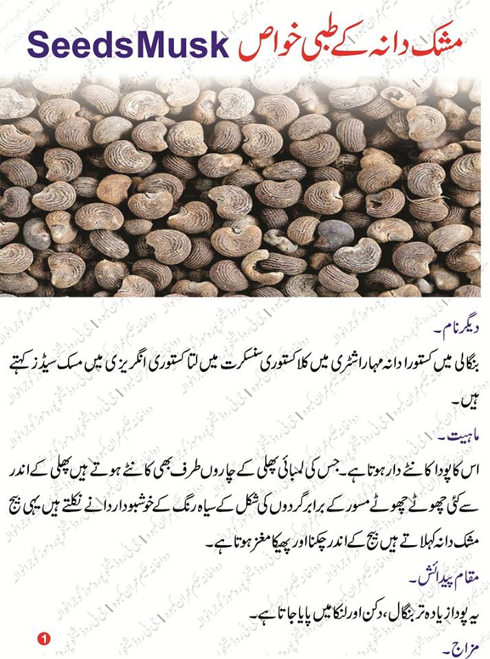 Mushk Dana (Seeds Musk) Benefits in urdu مشک دانی کے طبعی فائدے