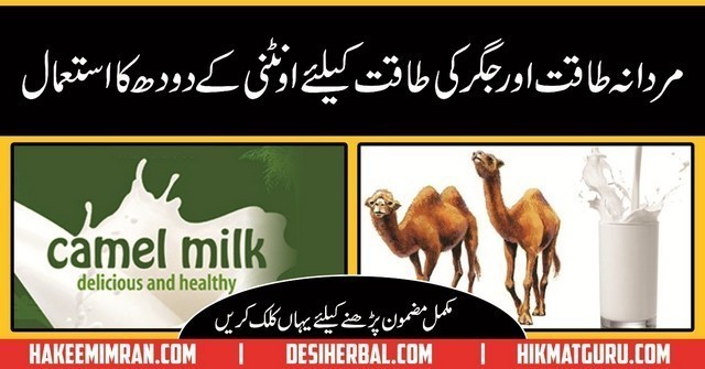 Oontni Kay Doodh kay Faiday (Camel Milk Benefits) in Urdu