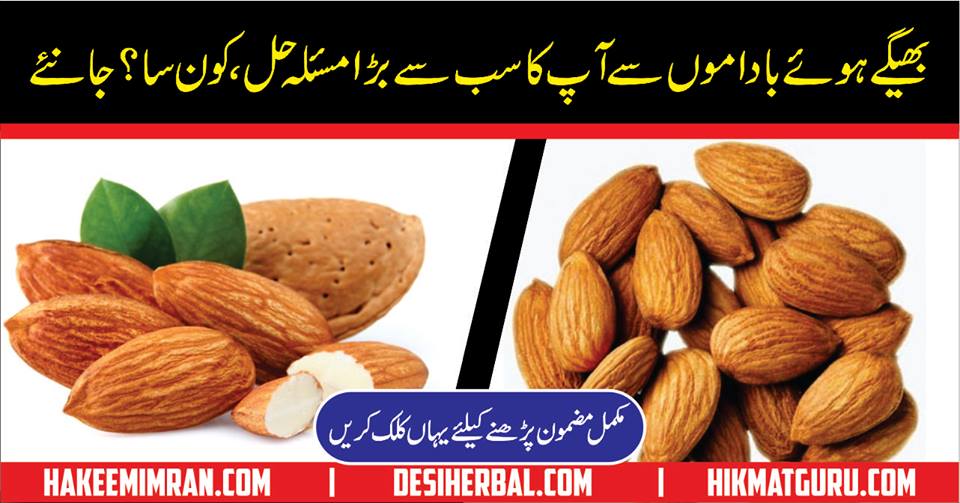 Soak Almond Benefits In Urdu Badam Bhigo Kar Khany Ky Fawaid