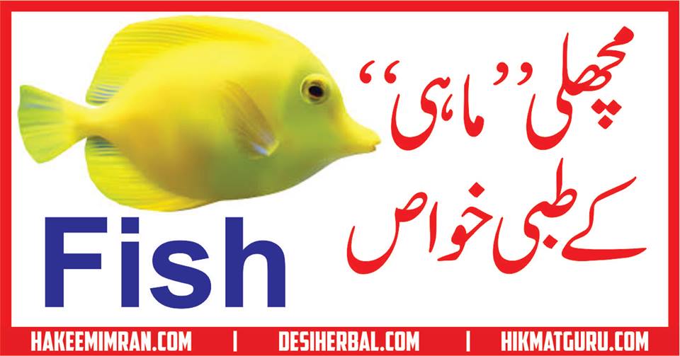 Fish Benefits Machli Khane Ke Fayde Fish Benefits In Urdu مچھلی کے فائدے