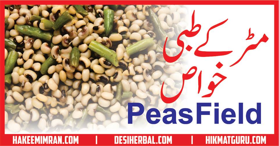 Matar (Peas Field) Benefits in urdu مٹر کے طبعی خواص